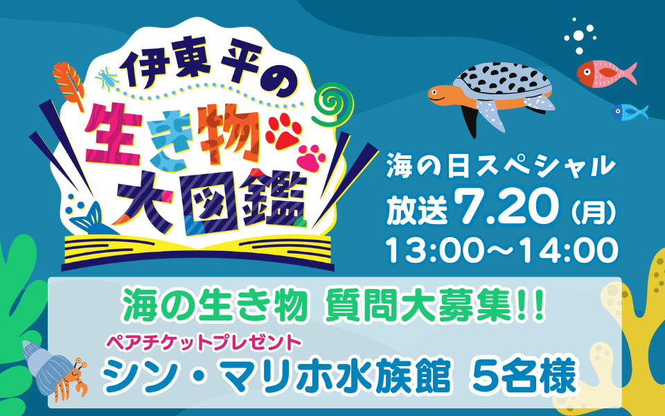 「海の生き物」について知りたいことを大募集！