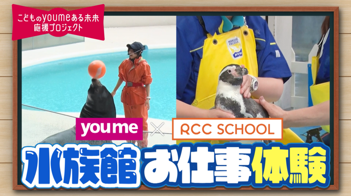 【RCCスクール 募集中】9/5（土）開催！ 「ゆめタウン ゆめマート presents 宮島水族館お仕事体験🐬」